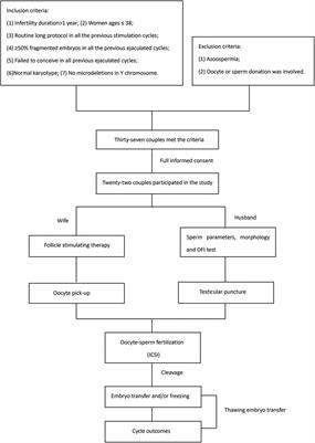 Are testicular sperms superior to ejaculated sperms in couples with previous ART failure due to high rate of fragmented embryos? A retrospective cohort study